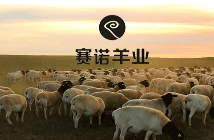 合眾精恒，專(zhuān)業(yè)力量進(jìn)駐包頭，開(kāi)啟精準(zhǔn)勘測(cè)新篇章！